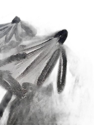 Raven Powders Charcoal Powder for Art - Create Depth & Texture - view 2