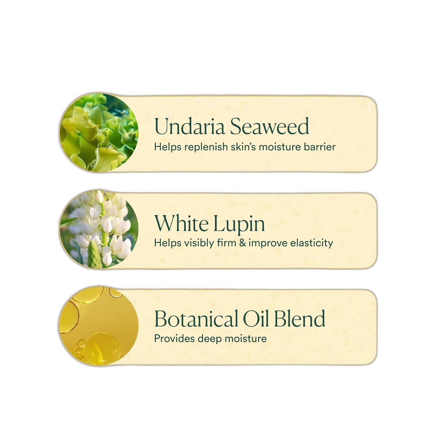 OSEA Undaria Algae Body Oil – Visibly Firming Hydration 5 oz - view 6
